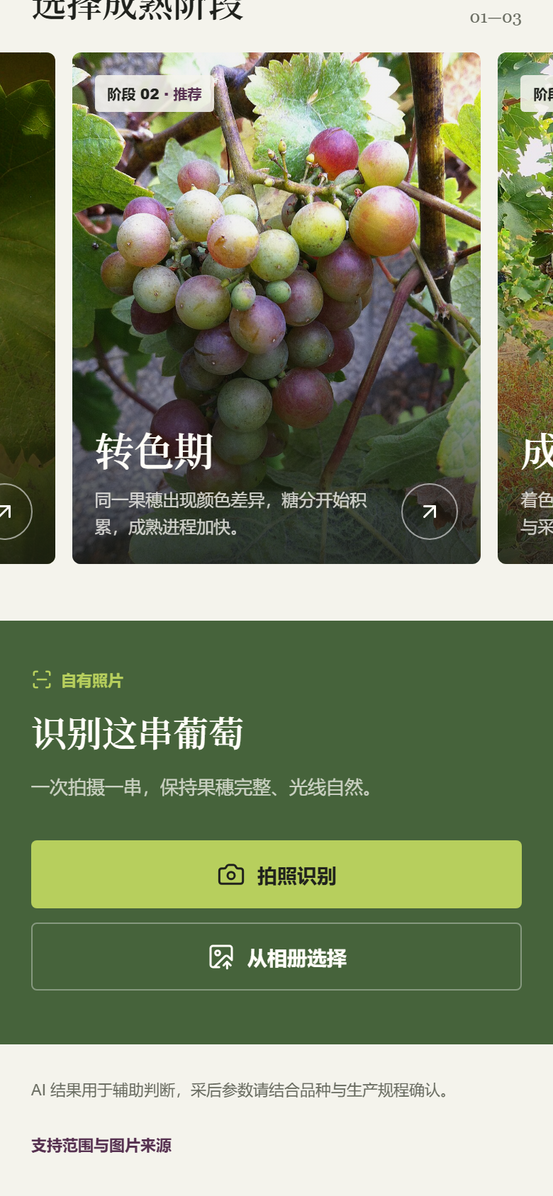 成熟阶段样例