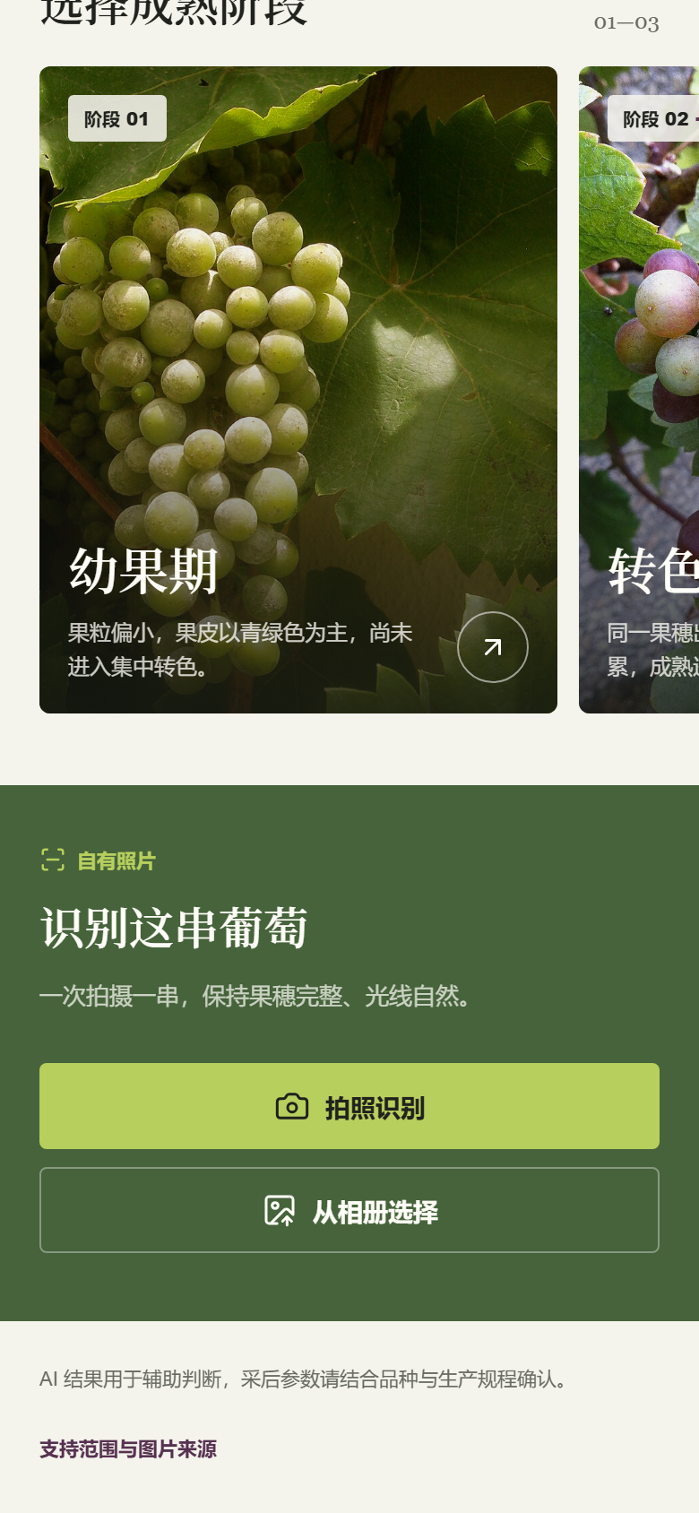 照片识别入口